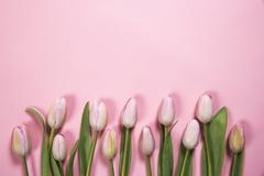 Spring 2019 🌷🌼