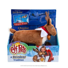 Elf Pets A Reindeer Tradition