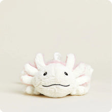 Stuffed Warmies