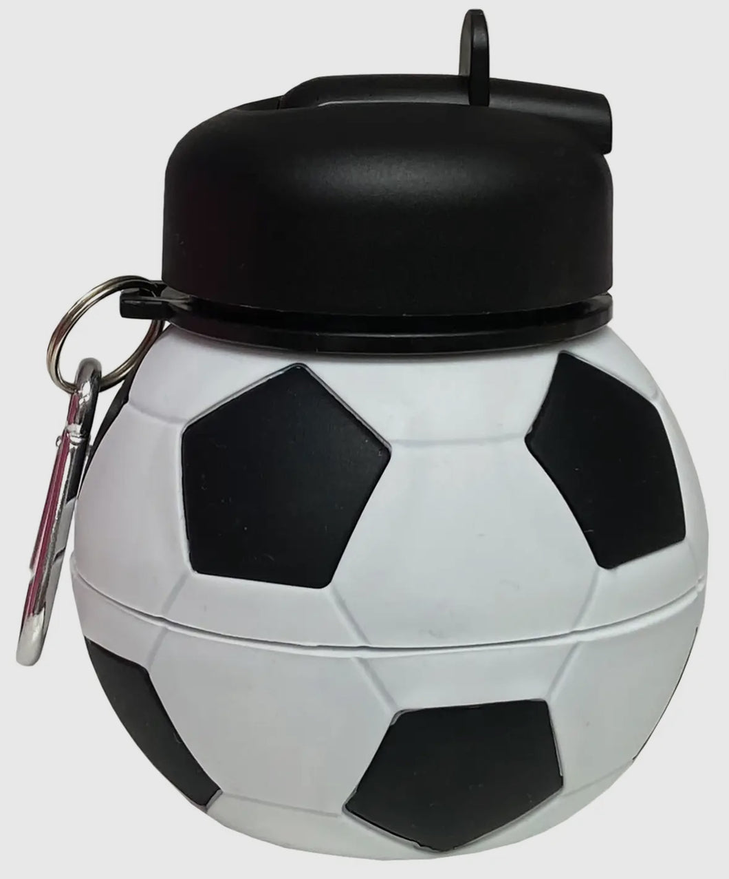 Collapsible Water Bottle
