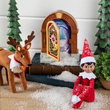 Elf Door