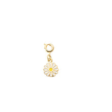 Charm