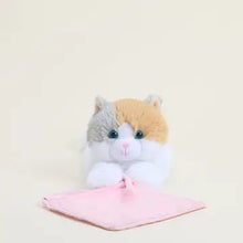 Stuffed Warmies