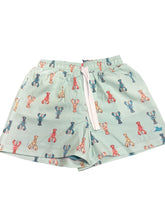 SouthBound Swim Trunks