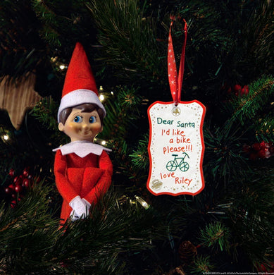 Scout Elf Express Delivers Letters to Santa