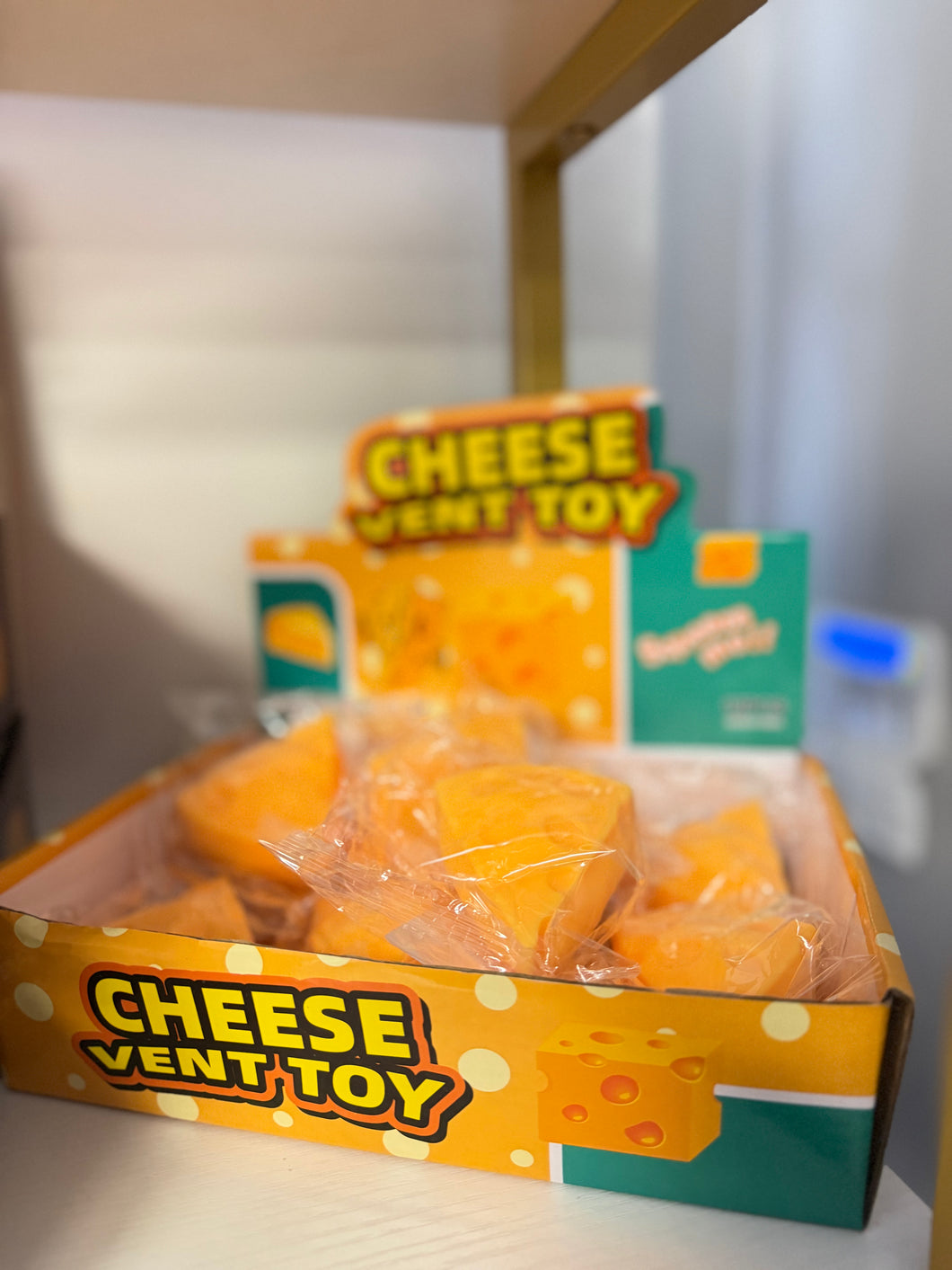 Squishy Triangle Cheese