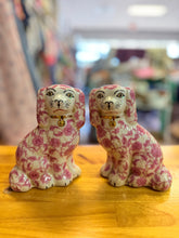 Stafford Small Dogs