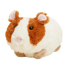 Stuffed Warmies