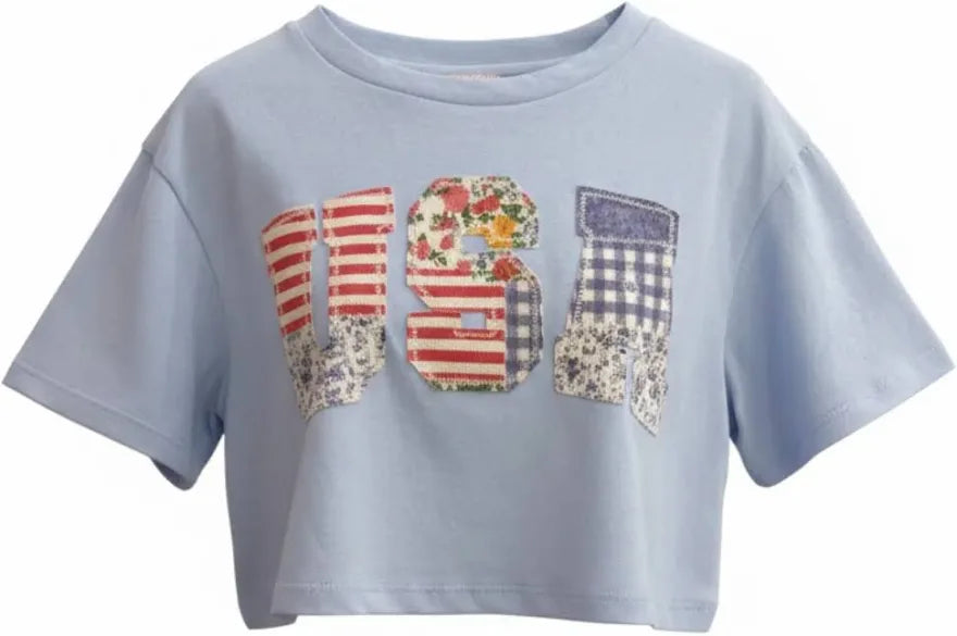USA Embroider Cropped Tee