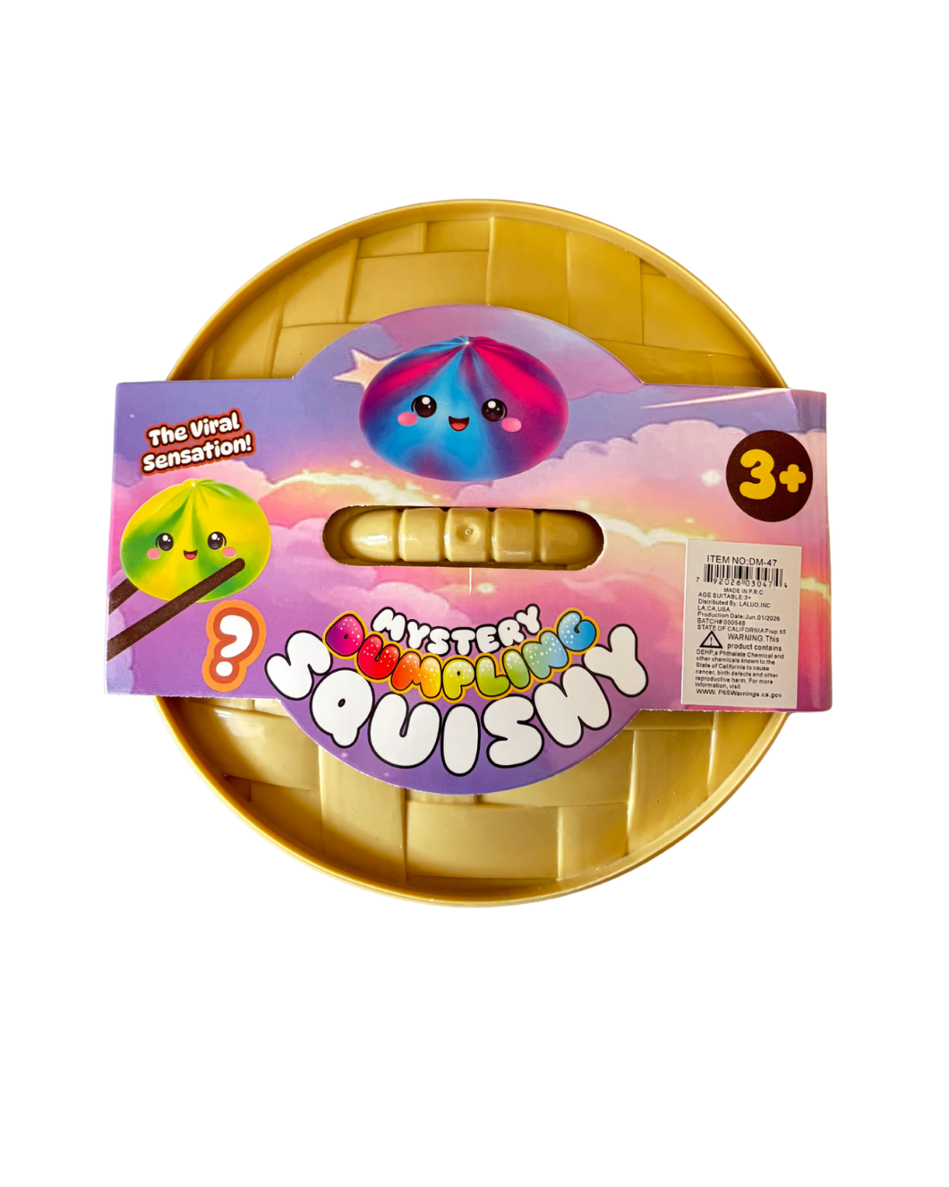 Large Mystery Squishy Dumpling