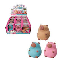 Sand Stretchy Capybara Toy