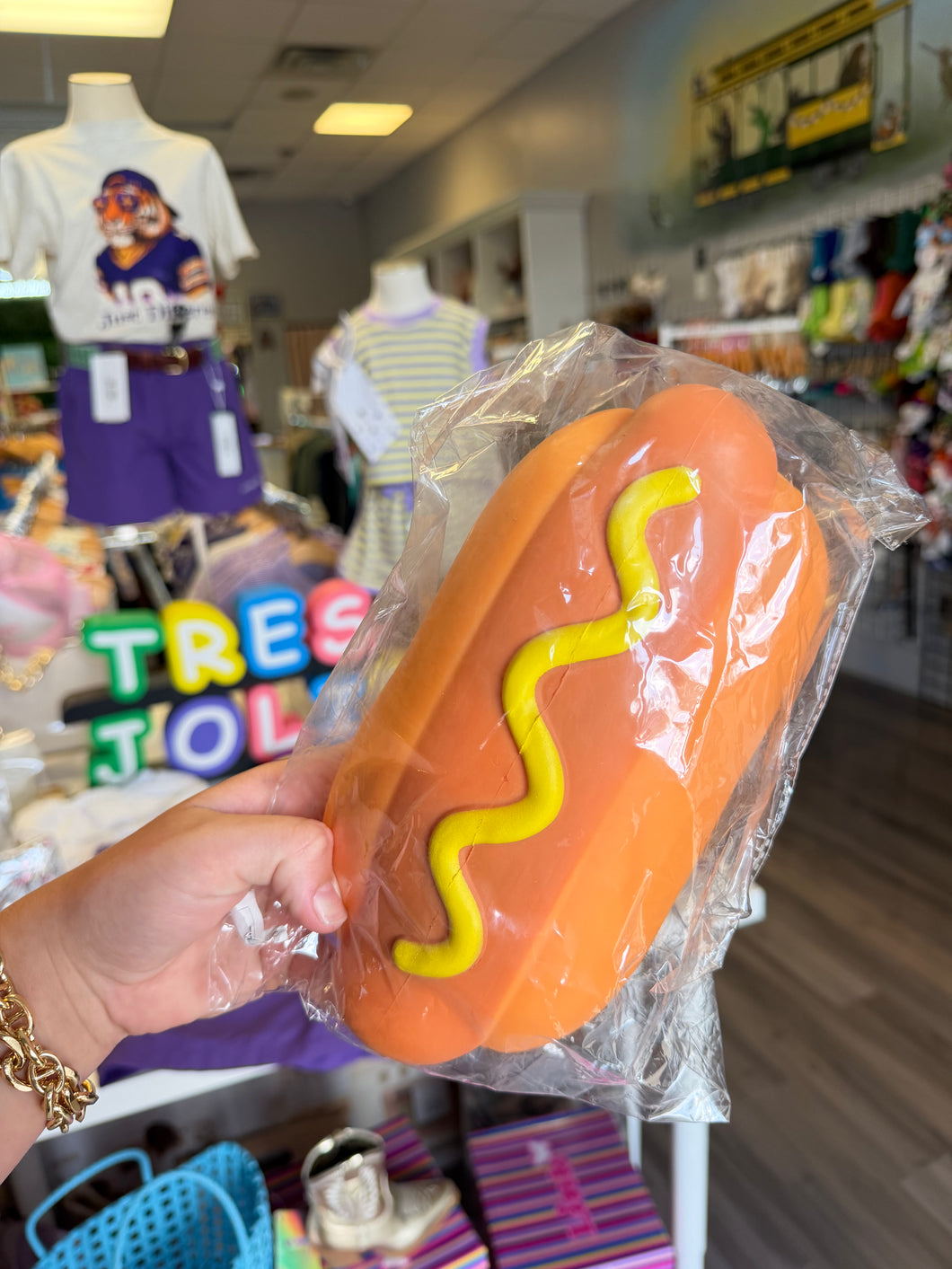 Jumbo Hotdog Squishy