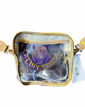 Game Day Clear Bag