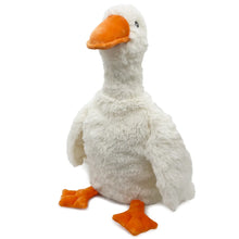 Stuffed Warmies