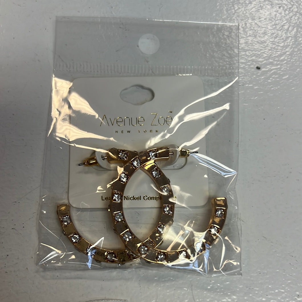 Paved Rhinestone Hoop Earrings