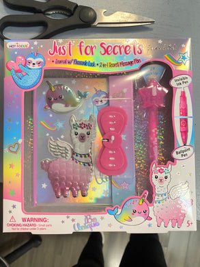 Just For Secrets Journal Set