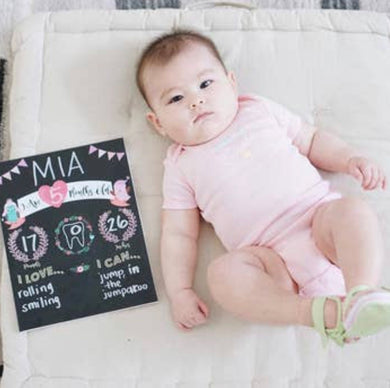 Reusable Baby Monthly Milestone Sign (Owls)