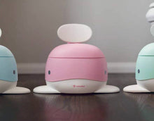 Potty Training Chair
